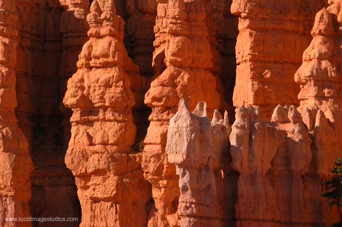 Bryce Cliff Face