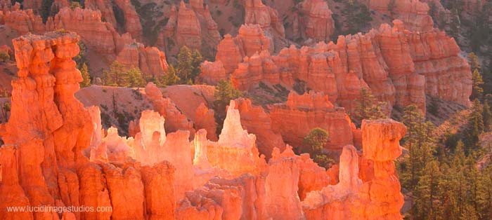 Glowing Hoodoos at Sunrise