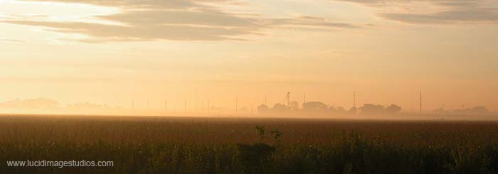 Glowing Mist on the Farm