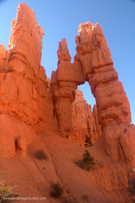 Hoodoo Arch at Bryce