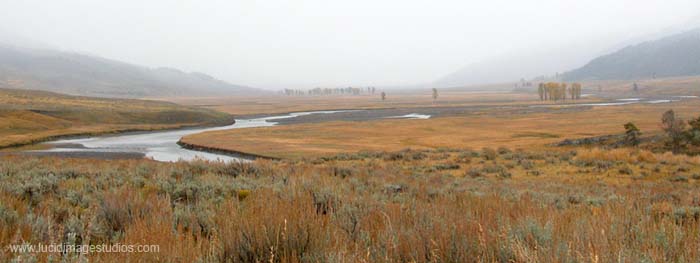 River Bend at Yellowstone