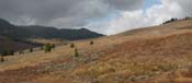 Yellowstone Fields